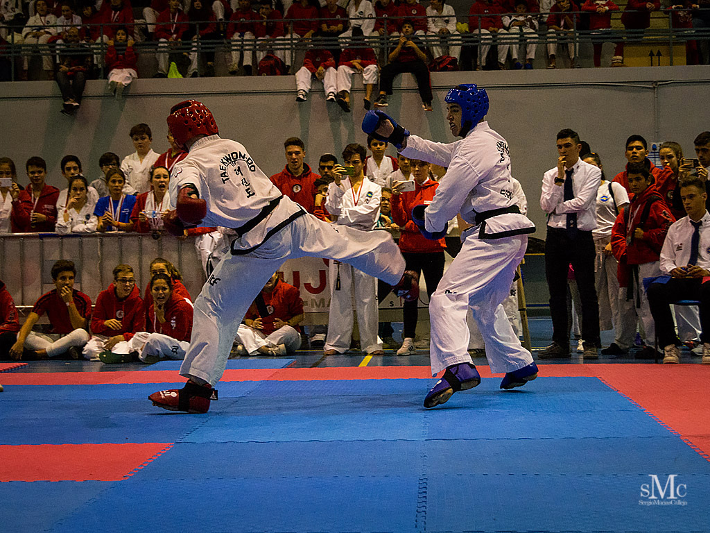 COPA SEUL, 2017  (217).JPG